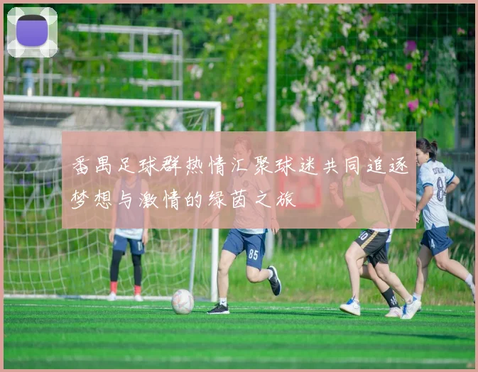 番禺足球群热情汇聚球迷共同追逐梦想与激情的绿茵之旅