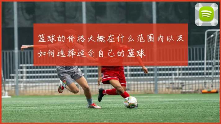 篮球的价格大概在什么范围内以及如何选择适合自己的篮球