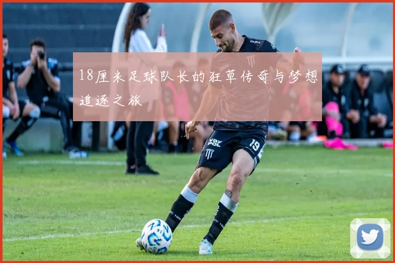 18厘米足球队长的狂草传奇与梦想追逐之旅