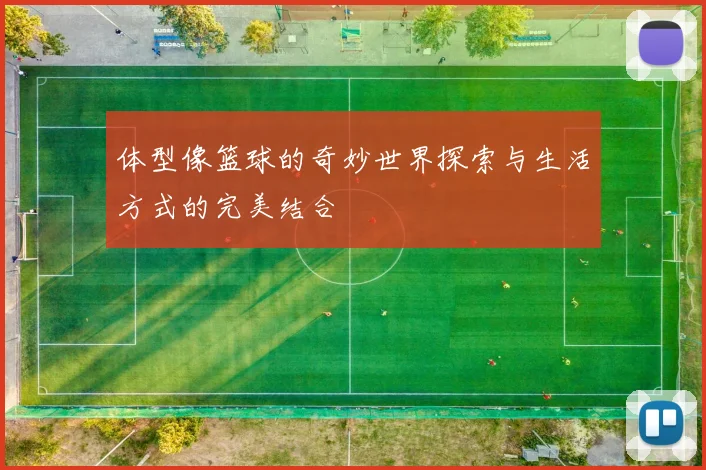 体型像篮球的奇妙世界探索与生活方式的完美结合