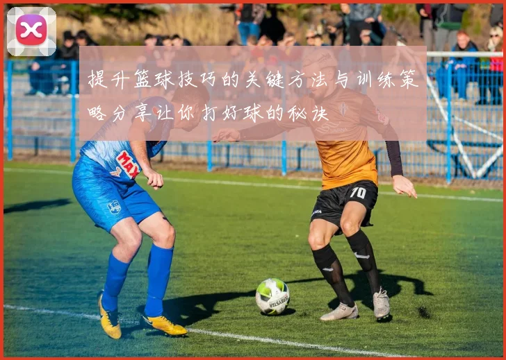 提升篮球技巧的关键方法与训练策略分享让你打好球的秘诀